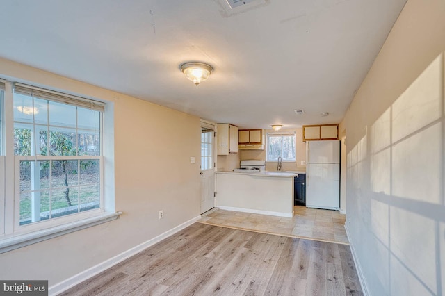 kitchen featuring plenty of natural light, light wood-type flooring, and white appliances