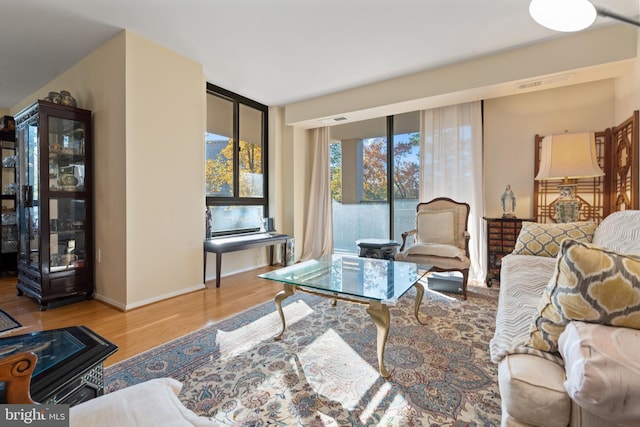 living room with hardwood / wood-style flooring