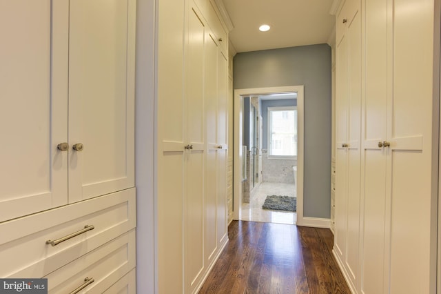 corridor featuring dark hardwood / wood-style floors