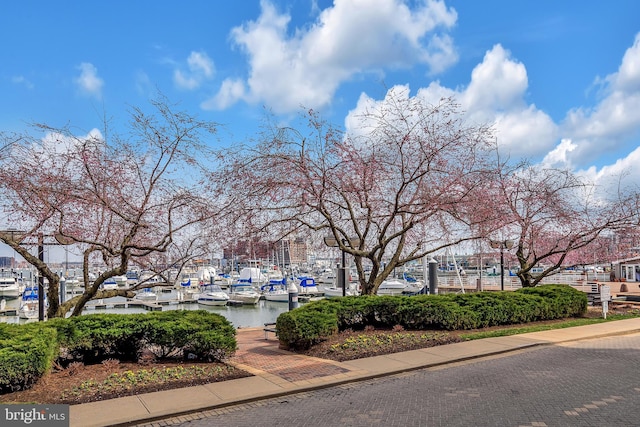 view of community featuring a water view