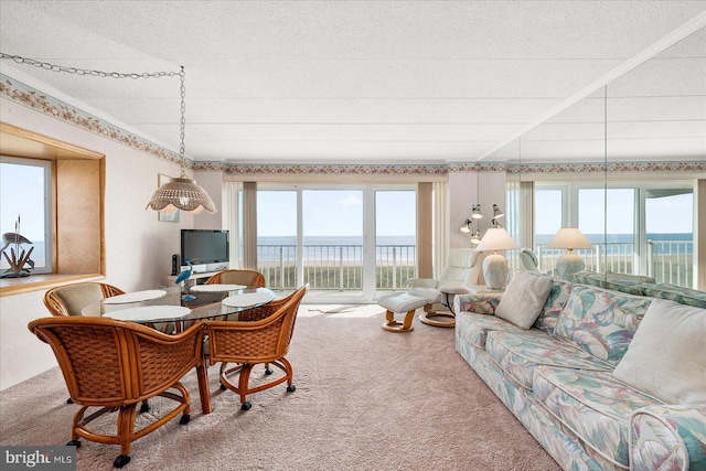 living room with carpet and a textured ceiling