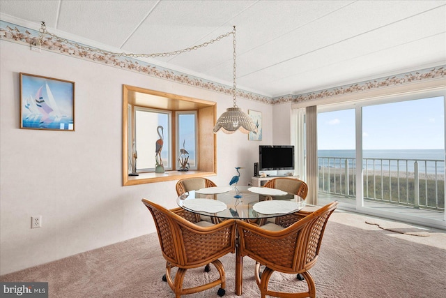 carpeted dining area with a textured ceiling