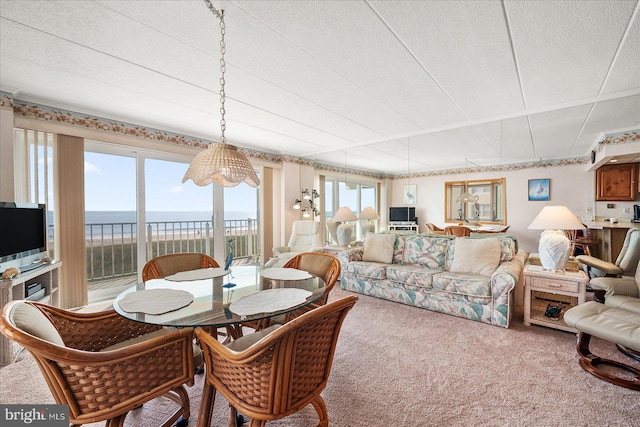 carpeted dining area with a textured ceiling