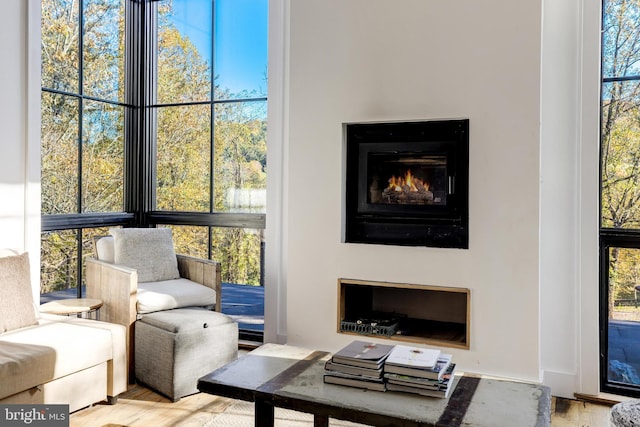 living area with a glass covered fireplace and light wood finished floors