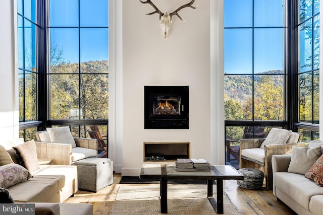 living room featuring light wood finished floors, a fireplace, and floor to ceiling windows