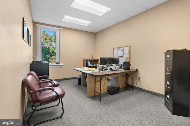 carpeted office featuring a drop ceiling