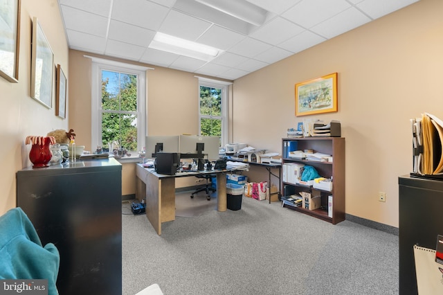 carpeted home office with a drop ceiling