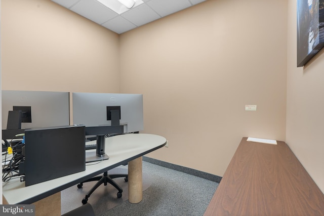 carpeted office space with a drop ceiling