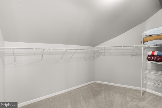 spacious closet featuring lofted ceiling and carpet floors