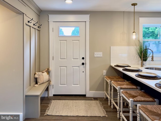 interior space with sink, a healthy amount of sunlight, and dark hardwood / wood-style flooring