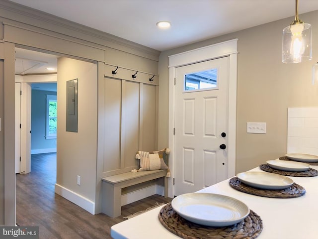 mudroom featuring electric panel and dark hardwood / wood-style floors