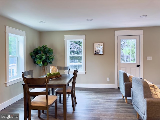 dining room featuring dark hardwood / wood-style flooring and plenty of natural light