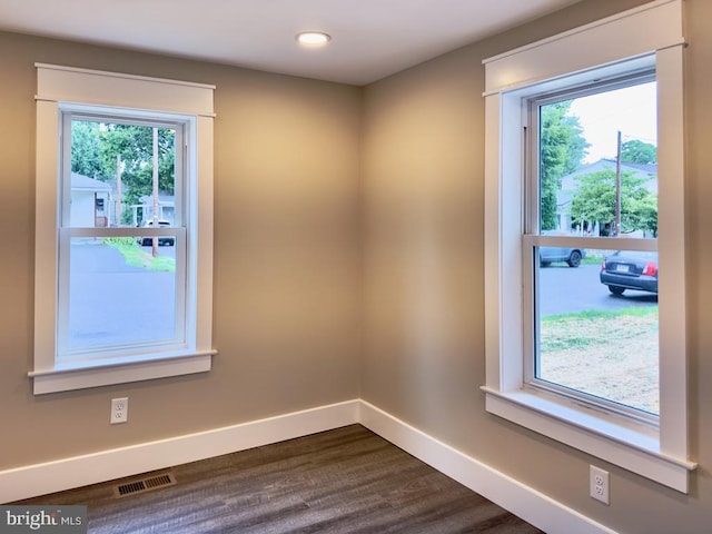 interior space featuring wood-type flooring and plenty of natural light