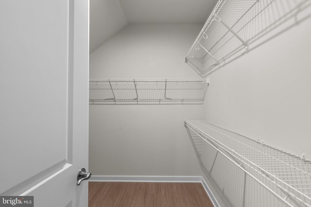 spacious closet featuring wood-type flooring