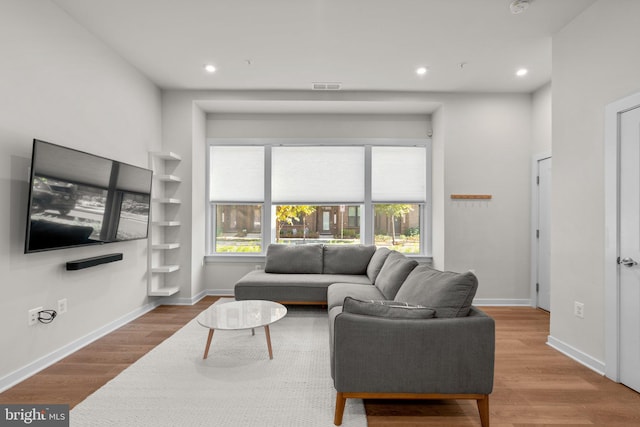 living room with wood-type flooring