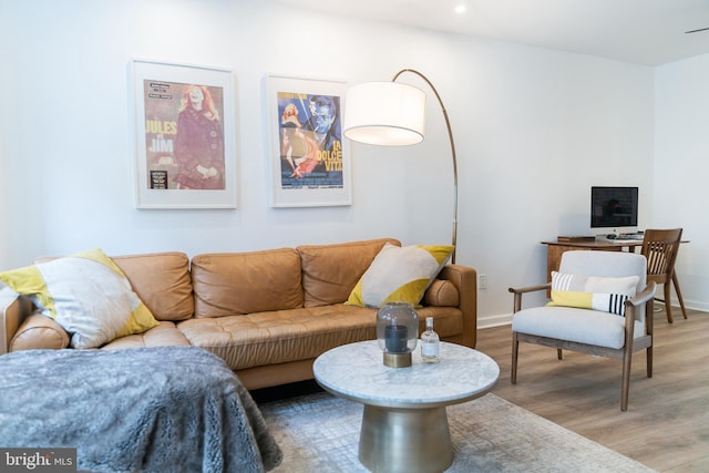 living room with hardwood / wood-style flooring