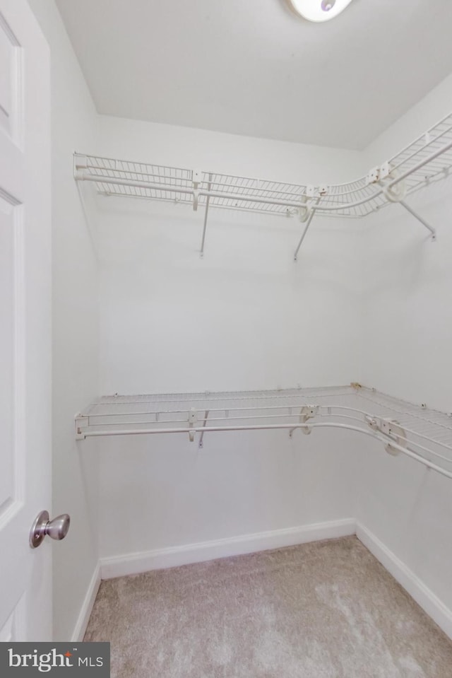 spacious closet featuring light colored carpet