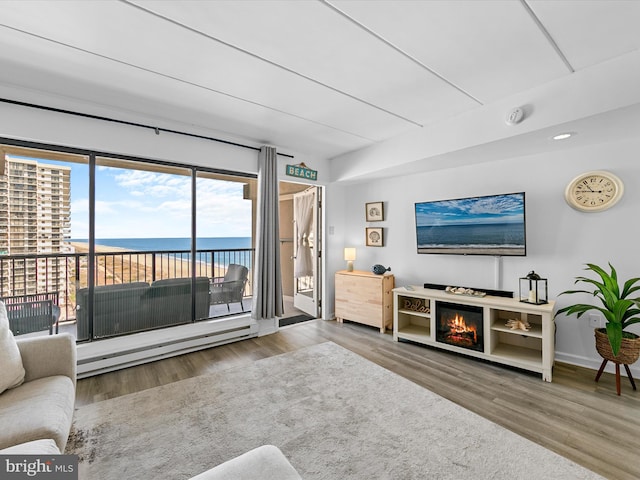 living room with hardwood / wood-style flooring and a fireplace