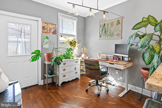 office area featuring ornamental molding and dark hardwood / wood-style floors