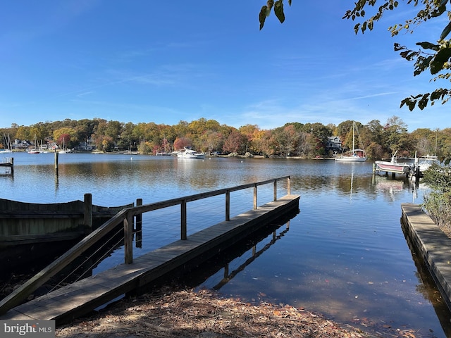 view of dock with a water view