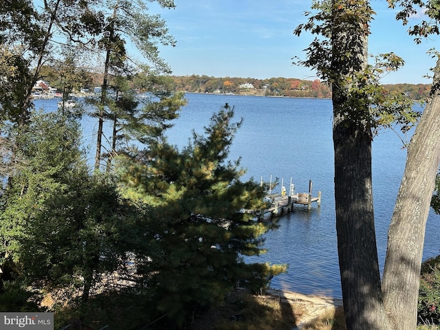 water view with a boat dock