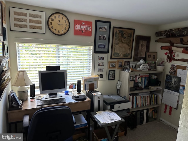 carpeted home office with a wealth of natural light