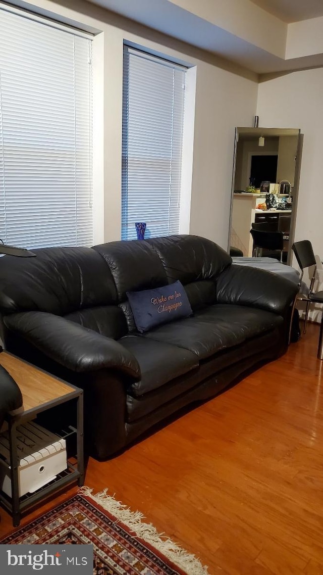 living room featuring hardwood / wood-style floors