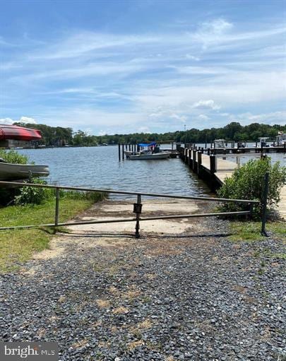 dock area with a water view