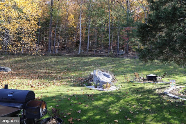 view of yard with an outdoor fire pit