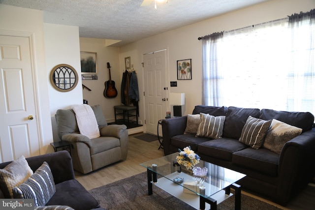 living room with hardwood / wood-style floors and a textured ceiling