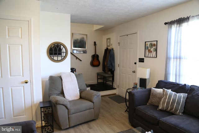 living room featuring light hardwood / wood-style flooring and a textured ceiling