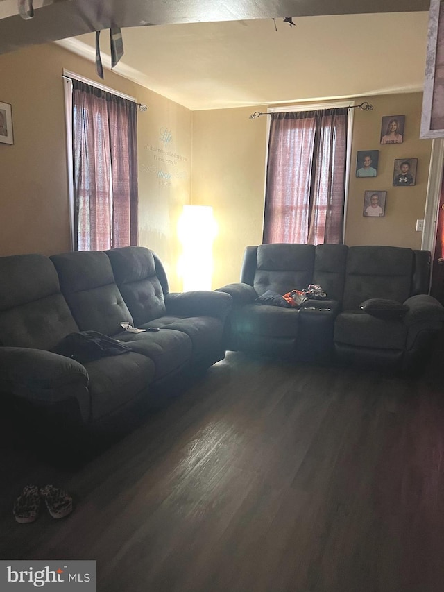 living room featuring hardwood / wood-style floors