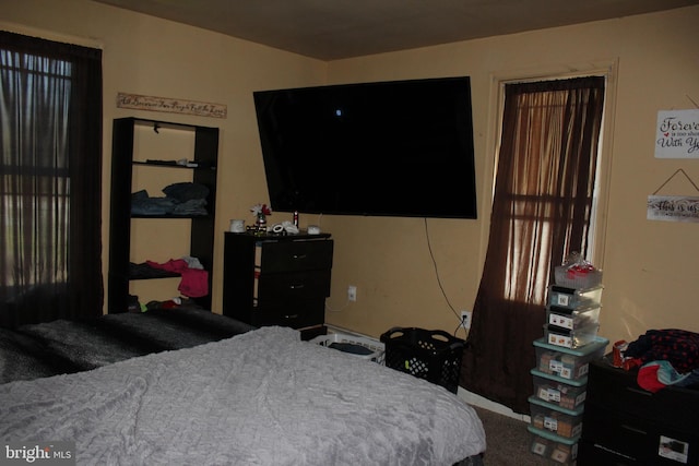 bedroom featuring carpet floors