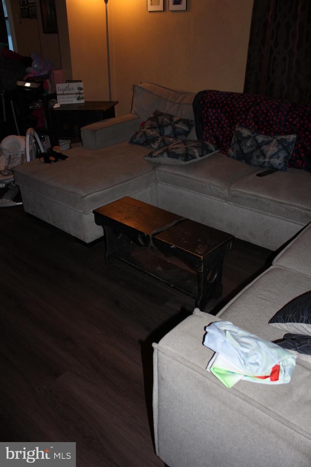 living room featuring wood-type flooring