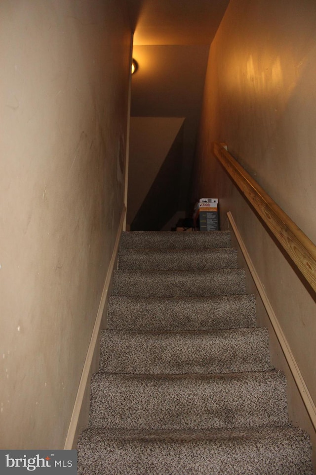 stairs featuring carpet floors