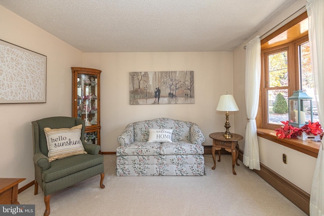 living area with carpet and a textured ceiling