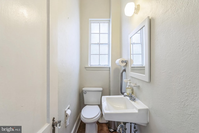 bathroom with toilet and hardwood / wood-style flooring