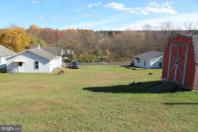 view of yard with a storage shed