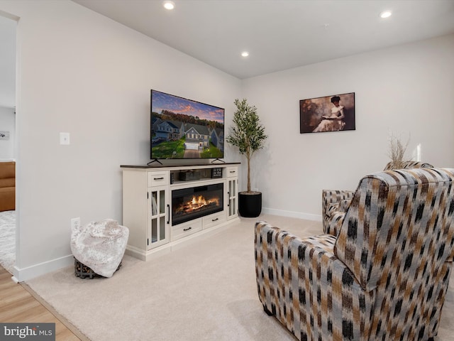 living room featuring light hardwood / wood-style flooring