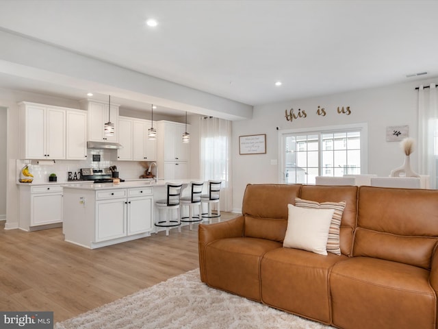 living room with light hardwood / wood-style floors and sink