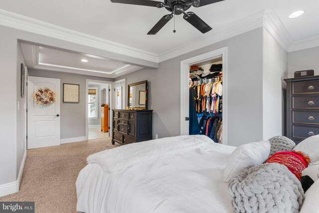 carpeted bedroom with a walk in closet, a closet, crown molding, and ceiling fan