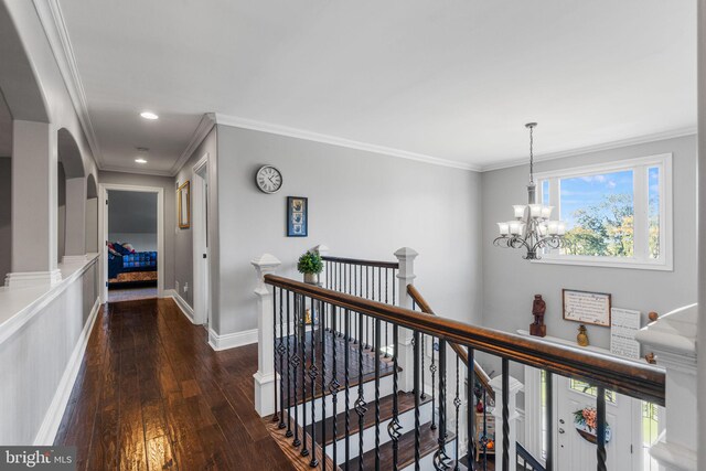 corridor with ornamental molding, dark wood-type flooring, and an inviting chandelier