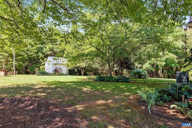 view of yard featuring a storage shed