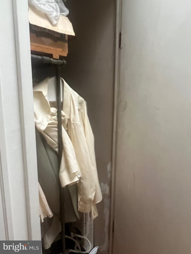 view of closet