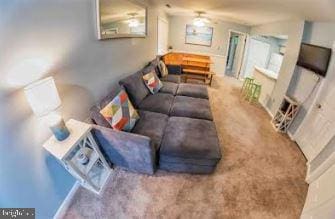 view of carpeted living room