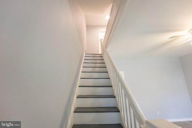 stairway featuring wood-type flooring