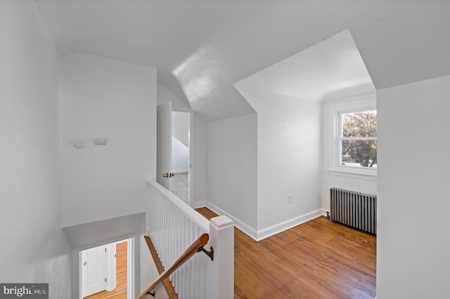 hall with vaulted ceiling, light hardwood / wood-style flooring, and radiator