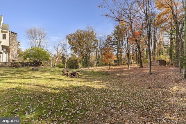 view of yard with a storage shed