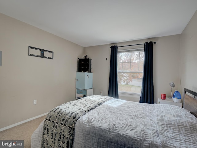 bedroom with carpet floors and baseboards