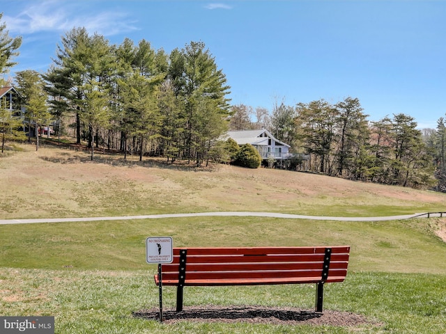 view of property's community with a yard